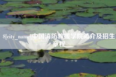 府谷中国消防救援学院简介及招生章程