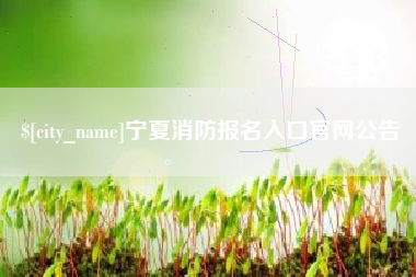 府谷宁夏消防报名入口官网公告