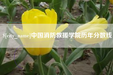 府谷中国消防救援学院历年分数线