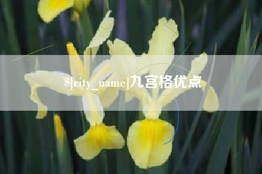 府谷九宫格优点