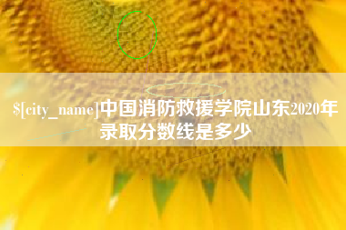 府谷中国消防救援学院山东2020年录取分数线是多少