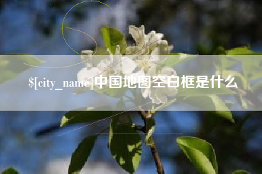 府谷中国地图空白框是什么
