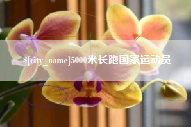 府谷5000米长跑国家运动员