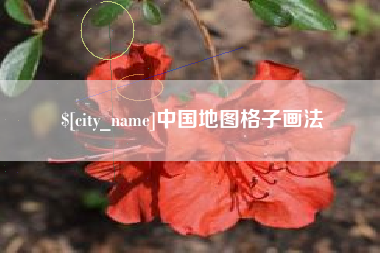 府谷中国地图格子画法