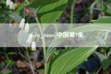 府谷中国第9金
