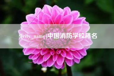 府谷中国消防学校排名