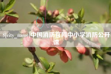 府谷中国消防官网中小学消防公开课