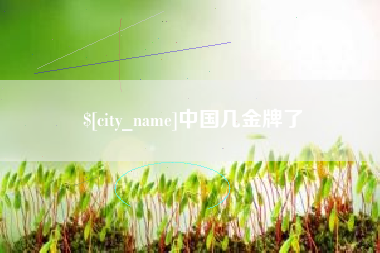 府谷中国几金牌了