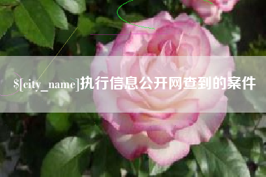 府谷执行信息公开网查到的案件