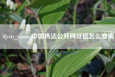 府谷中国执法公开网征信怎么查询