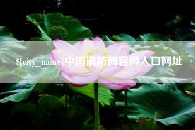 府谷中国消防网官网入口网址