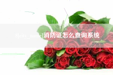 府谷消防证怎么查询系统
