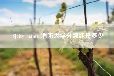府谷消防大学分数线是多少