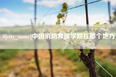 府谷中国消防救援学院在那个地方