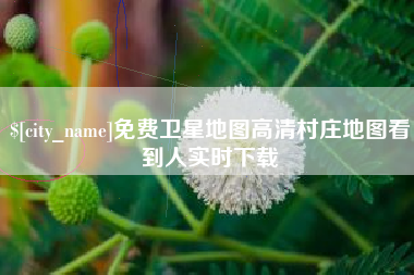 府谷免费卫星地图高清村庄地图看到人实时下载