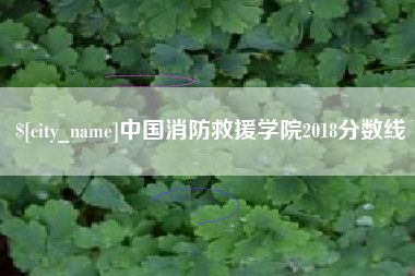 府谷中国消防救援学院2018分数线