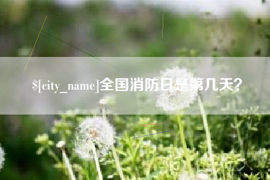 府谷全国消防日是第几天？