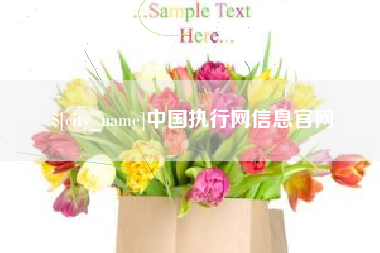 府谷中国执行网信息官网