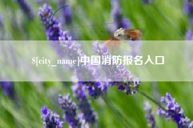府谷中国消防报名入口