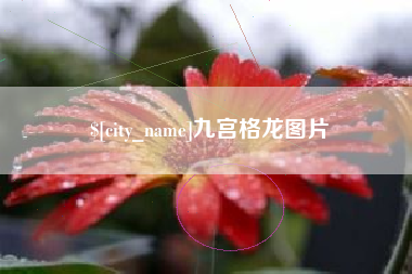 府谷九宫格龙图片