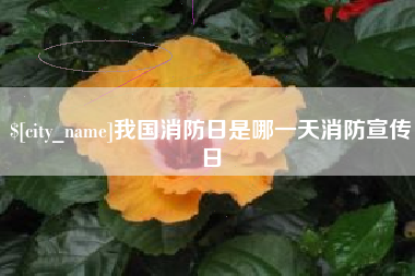 府谷我国消防日是哪一天消防宣传日