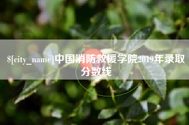 府谷中国消防救援学院2019年录取分数线