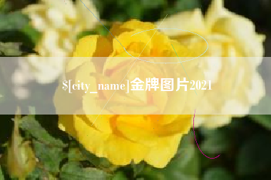 府谷金牌图片2021