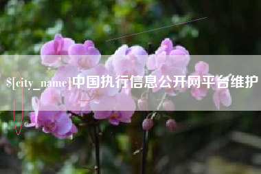 府谷中国执行信息公开网平台维护