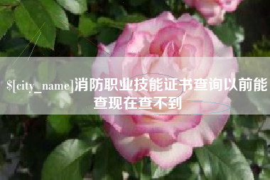 府谷消防职业技能证书查询以前能查现在查不到