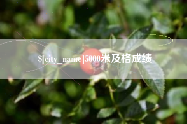 府谷5000米及格成绩