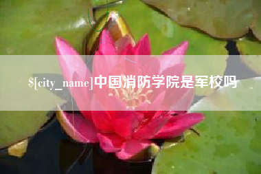 府谷中国消防学院是军校吗
