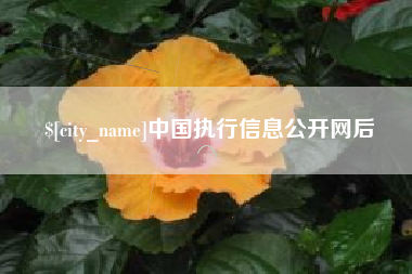 府谷中国执行信息公开网后