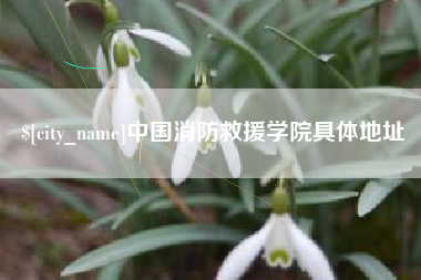 府谷中国消防救援学院具体地址