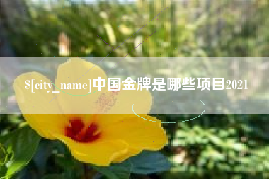 府谷中国金牌是哪些项目2021
