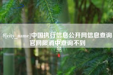 府谷中国执行信息公开网信息查询官网限消中查询不到