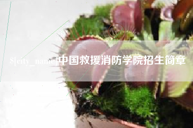 府谷中国救援消防学院招生简章
