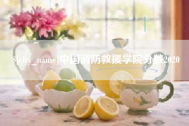 府谷中国消防救援学院分数2020