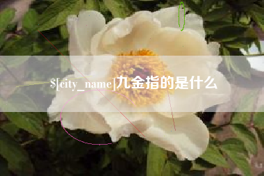 府谷九金指的是什么