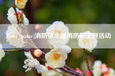 府谷消防日全国消防日主题活动