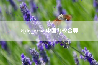 府谷中国九枚金牌