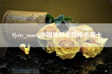府谷中国消防学院排名前十