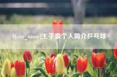 府谷王子豪个人简介乒乓球