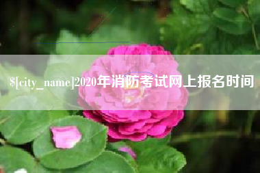府谷2020年消防考试网上报名时间