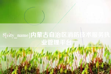 府谷内蒙古自治区消防技术服务执业管理平台