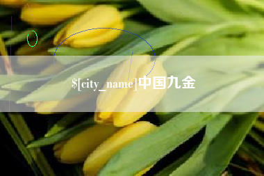府谷中国九金