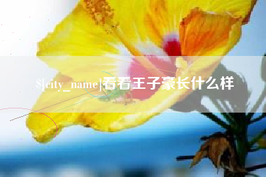 府谷看看王子豪长什么样