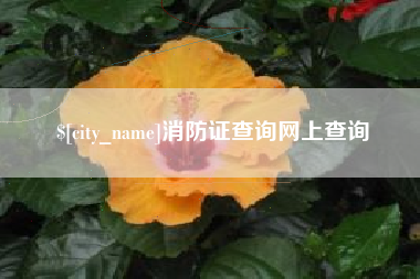 府谷消防证查询网上查询