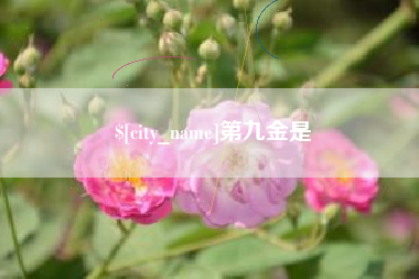 府谷第九金是