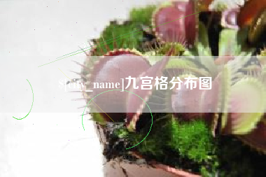 府谷九宫格分布图
