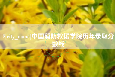 府谷中国消防救援学院历年录取分数线